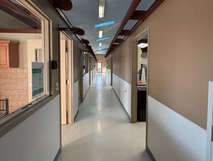 Wellington pet boarding