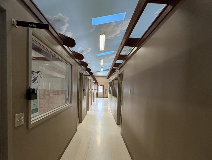 Wellington pet boarding