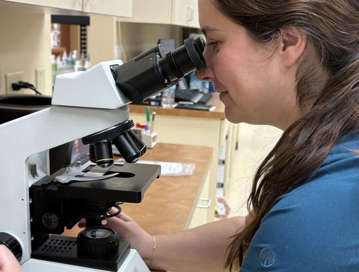 Xrays for Cats & Dogs