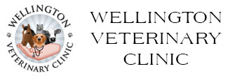 Link to Homepage of Wellington Veterinary Clinic